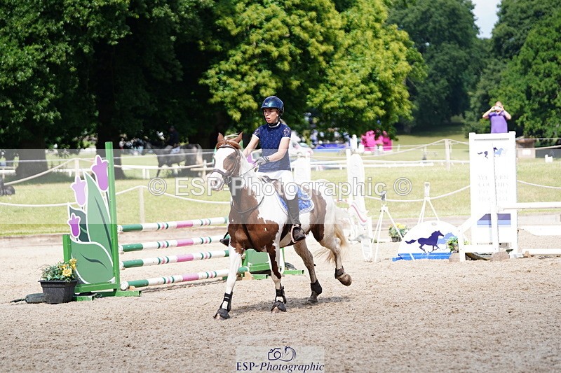 250615A-102310-10100 - Class 43 British Novice 90cm Open