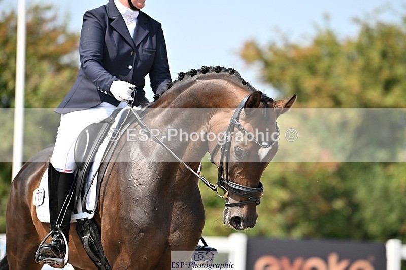 250816-124549-04341 - 100-Deborah.NewmanSoraya.IV