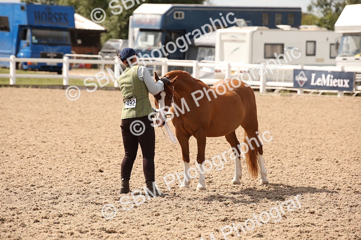 SBM_04597 - Class 20 IH Veteran