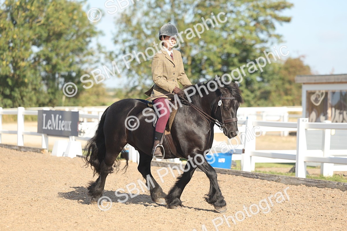 SBM_22175 - Class 802 - Ridden Groom Helpers Class