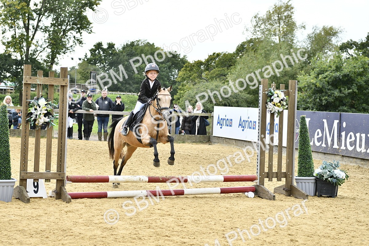 SBM_65532 - J2a mini Tour Junior Pony 30cm Championship
