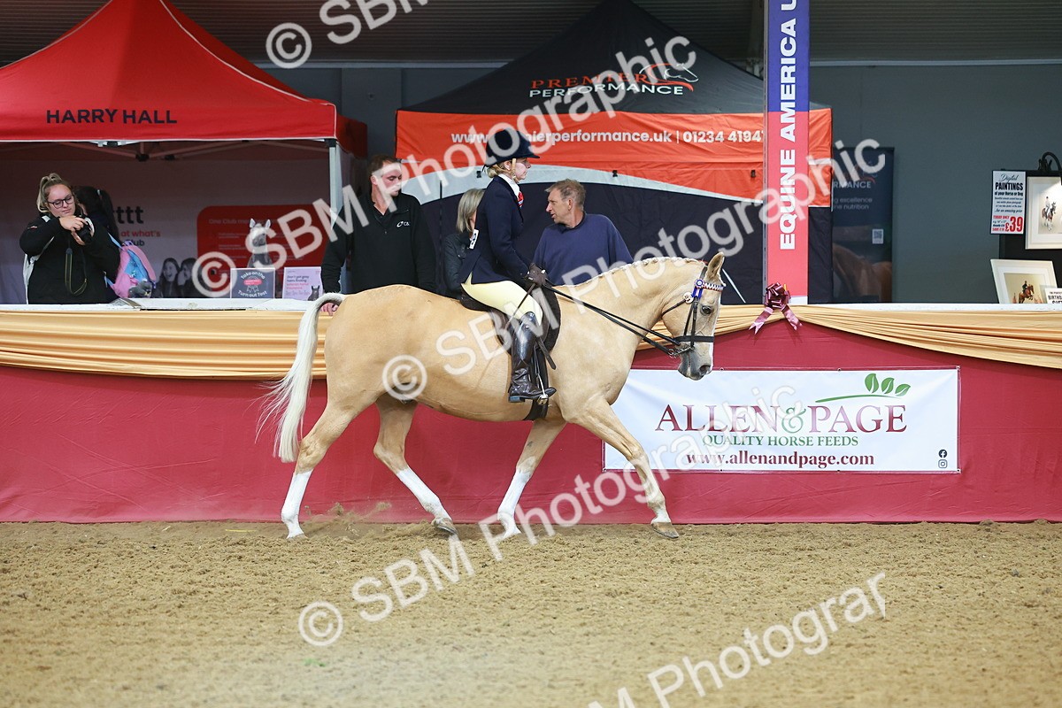 SBM_09609 - Class 102 - HOYS Veteran Qualifier - Ridden Veteran