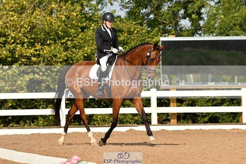 250817-101405-07796 - 153-Gary.ShimminKashmir.MMXXVIII