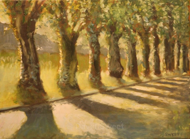 Malone Golden Glow - Oil Paintings