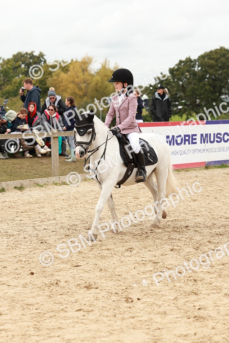 SBM_65220 - Supreme Championship 50cm & 55cm