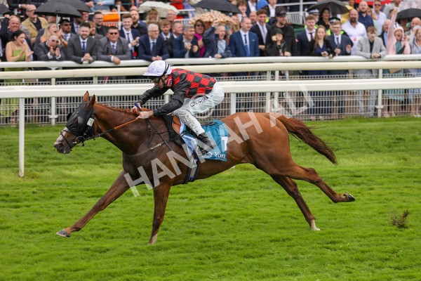 150723-Race 1-Blue For You-8758 - Race 1 2.00pm John Smith's Racing Handicap