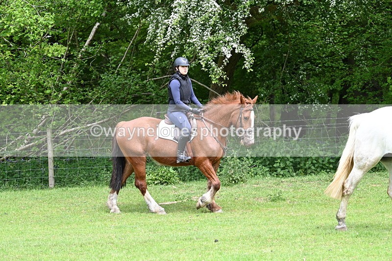 WJ7_2234 - Group 4 A&B Cameras