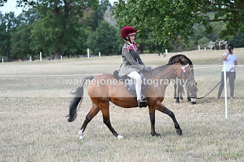 WJ7_6418 - Class 13 Ridden Veterans