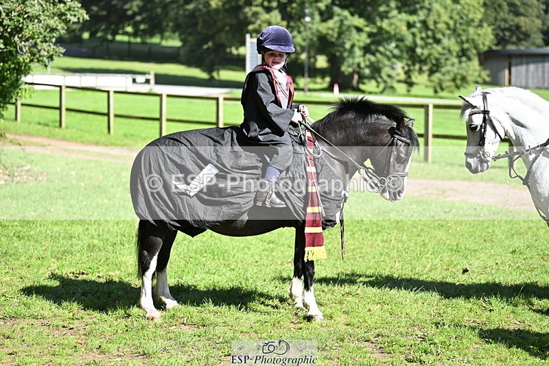 240728B-094703-00140 - Sunday Stable Shots and Fancy Dress