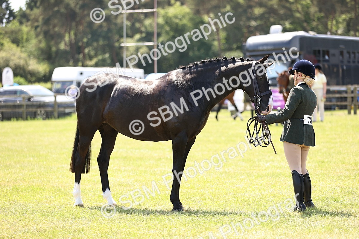 SBM_15223 - Class 79-80 - LIHS BSHA Rising Star Ridden Hunter
