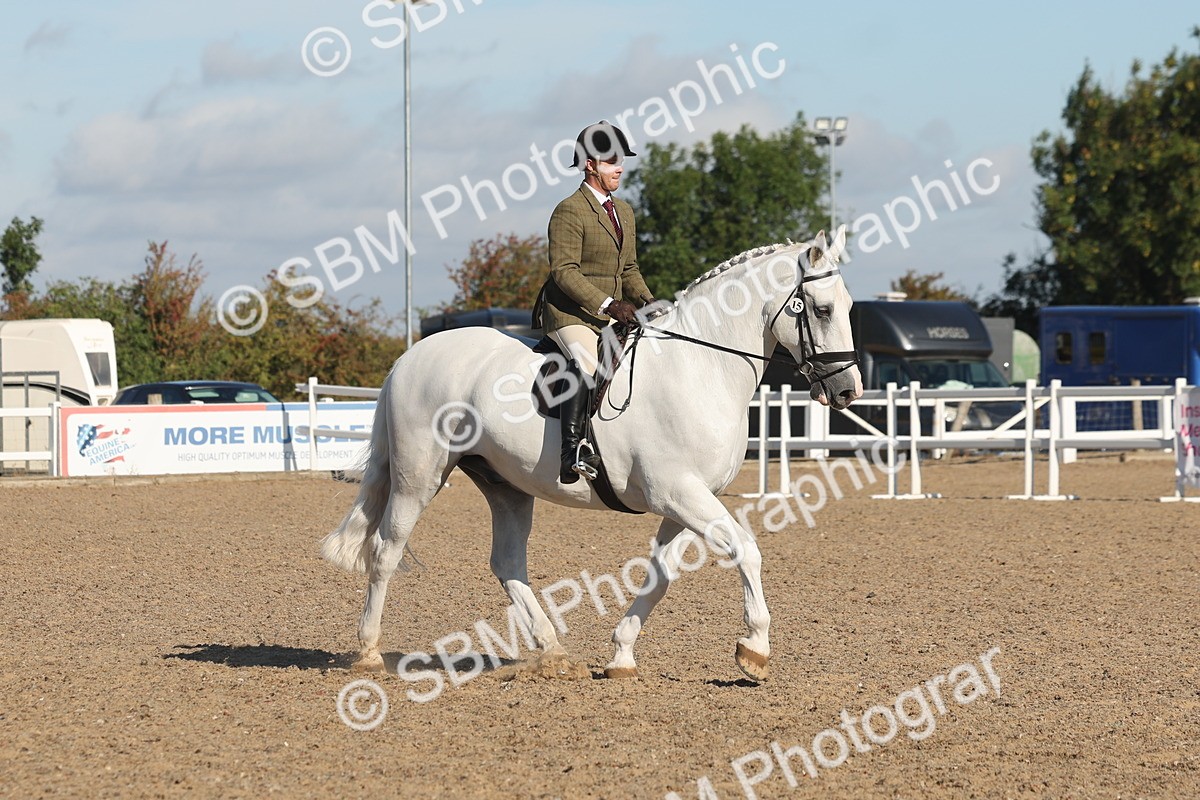 SBM_12216 - Class 303 - Ridden Pure Bred Horse Pony