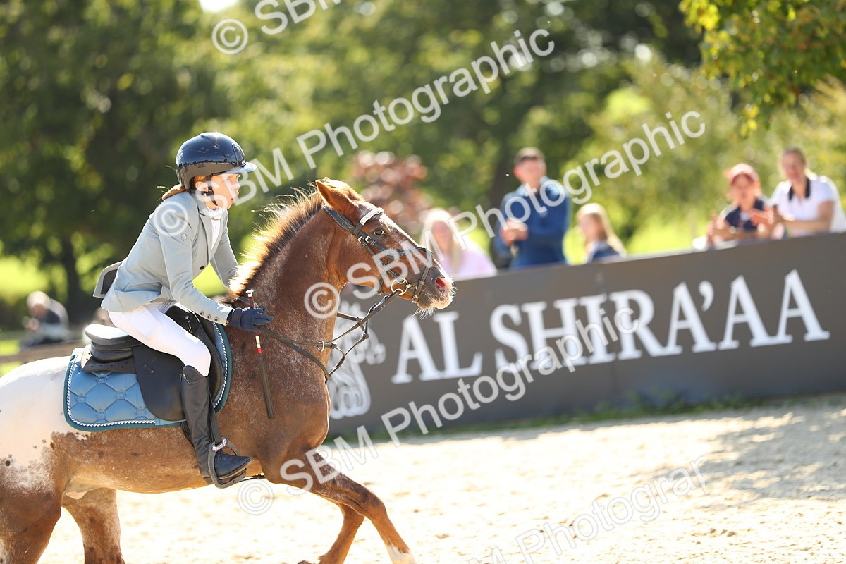 SBM_24338 - J45 - Accumulator 70 80cm