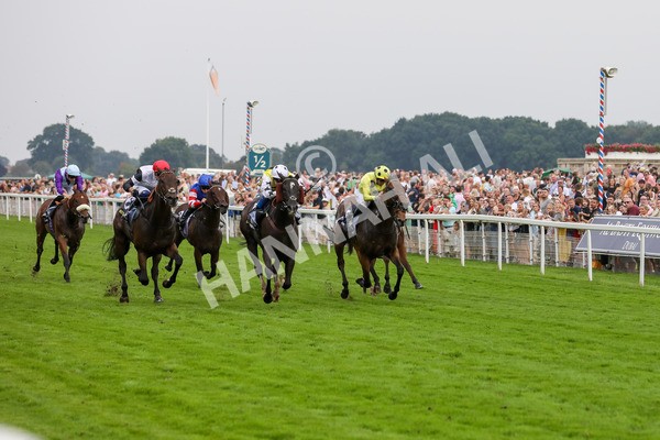 100923-Race 5-Commanche Falls-3947 - Race 5 3.50pm BetGoodwin Garrowby Stakes