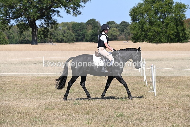WJ6_8791 - Class 38 Ridden Riding Horse/Pony