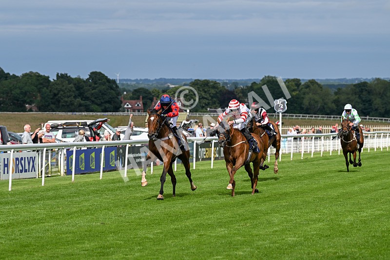160724-Race 5-Believitanducan-9220 - Race 5