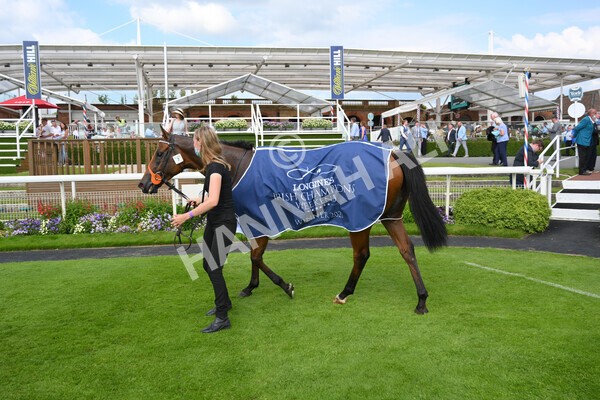 yr09072021r6-24 - Race 6 4.55pm Longines Irish Champions Weekend Stakes