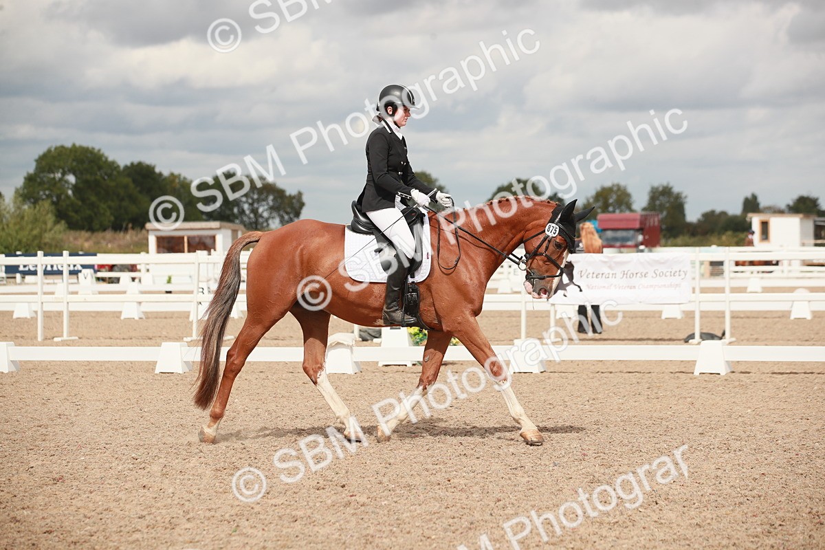 SBM_05951 - Class 32 - Novice 1