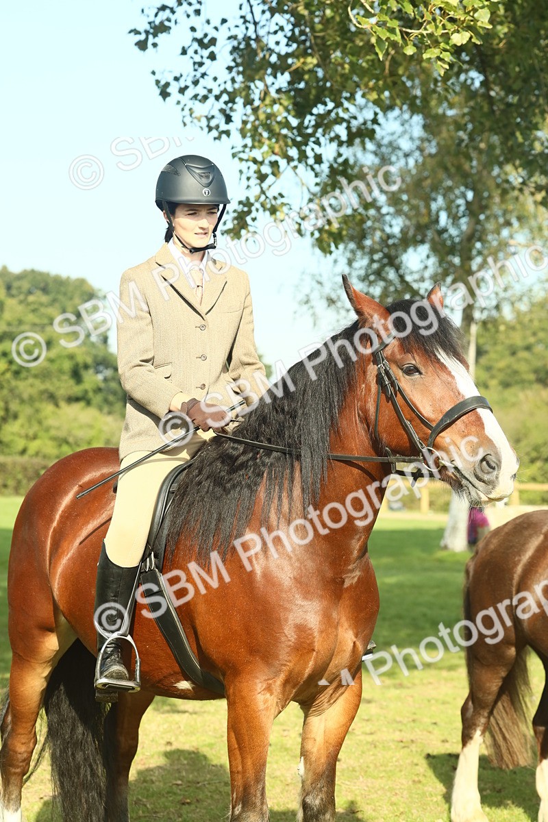 SBM_60008 - S38 - Starters Ridden Showing