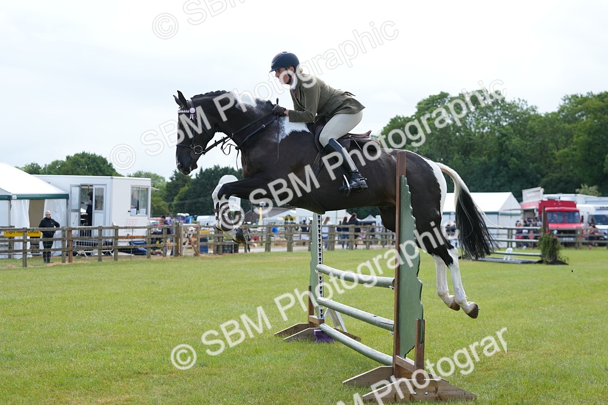 SBM_12872 - Class 99 - RIHS SEIB Working Show Horse