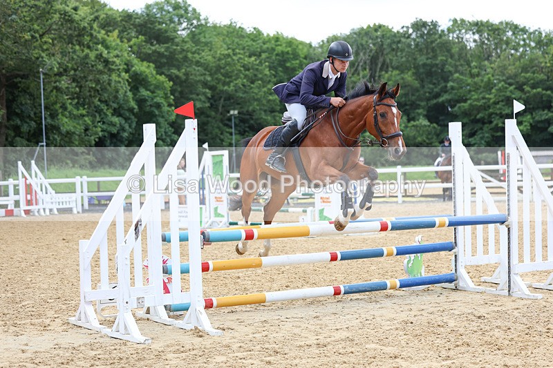 3E7A3206 - Class 4: Senior British Novice/90cm open