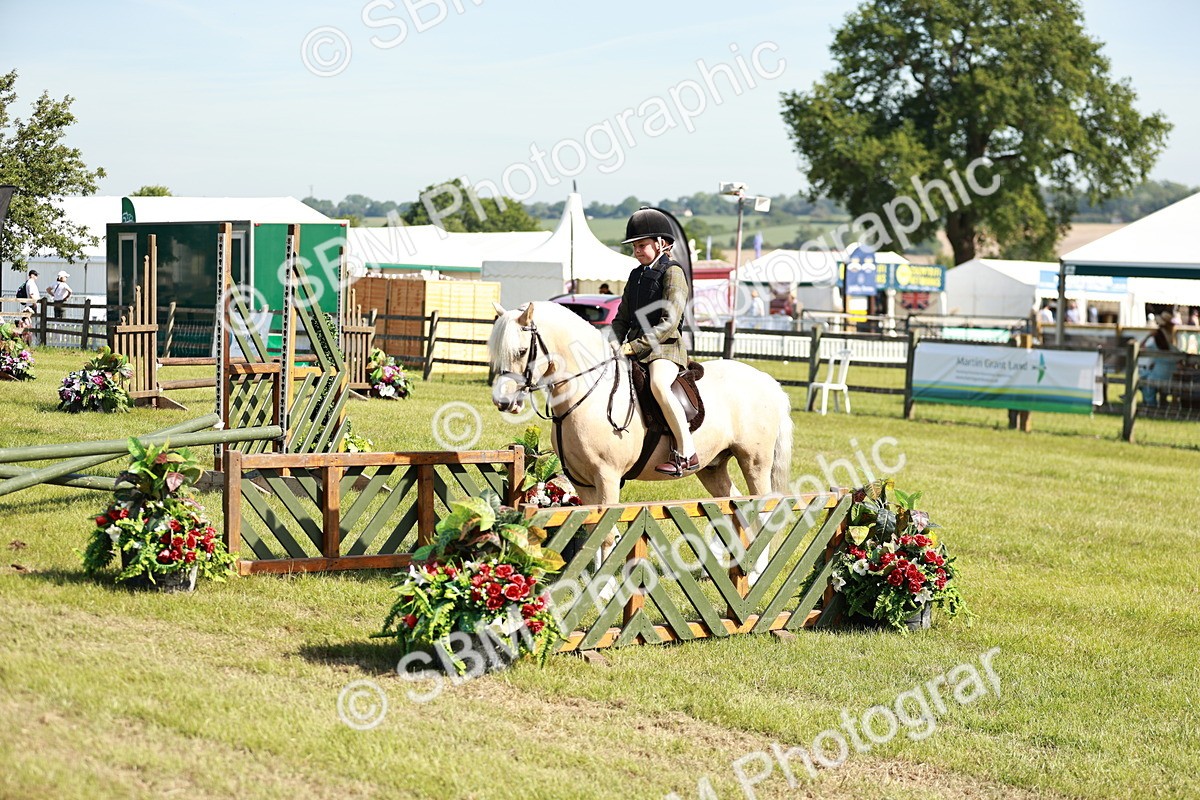 SBM_12666 - Class 106-107 - BSPS LIHS Working Sports Pony