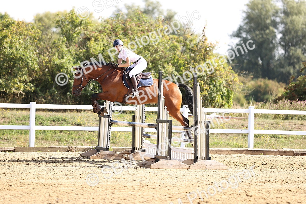 SBM_005627 - Class 9 - Senior British Novice - 90cm