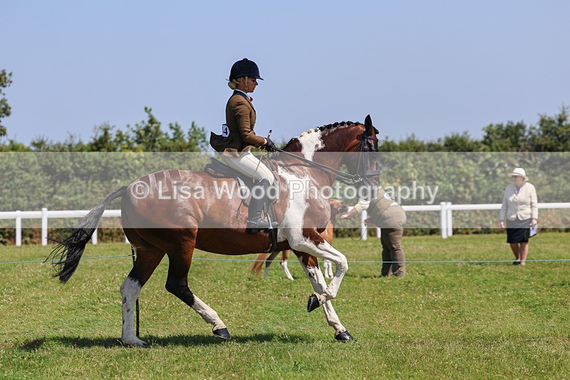 IMG_2453 - Class 38: Veteran Ridden