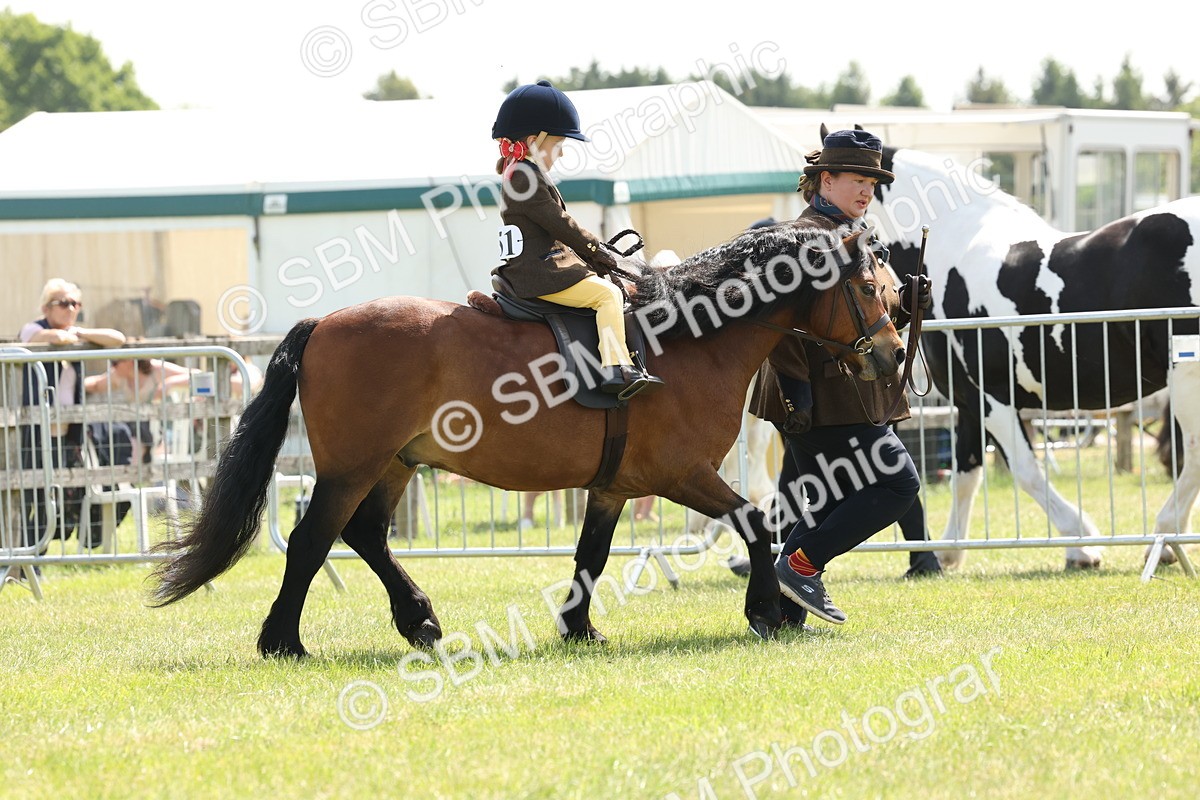 SBM_05183 - Class 24-25 - Mountain & Moorland In Hand Lead Rein and First Ridden