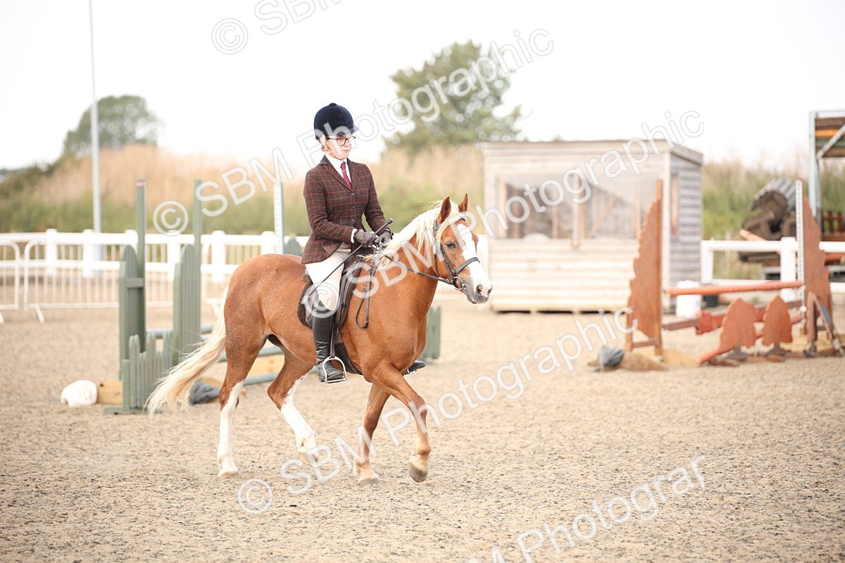 SBM_16017 - Class 408b - Working Veteran 70cm (20+)