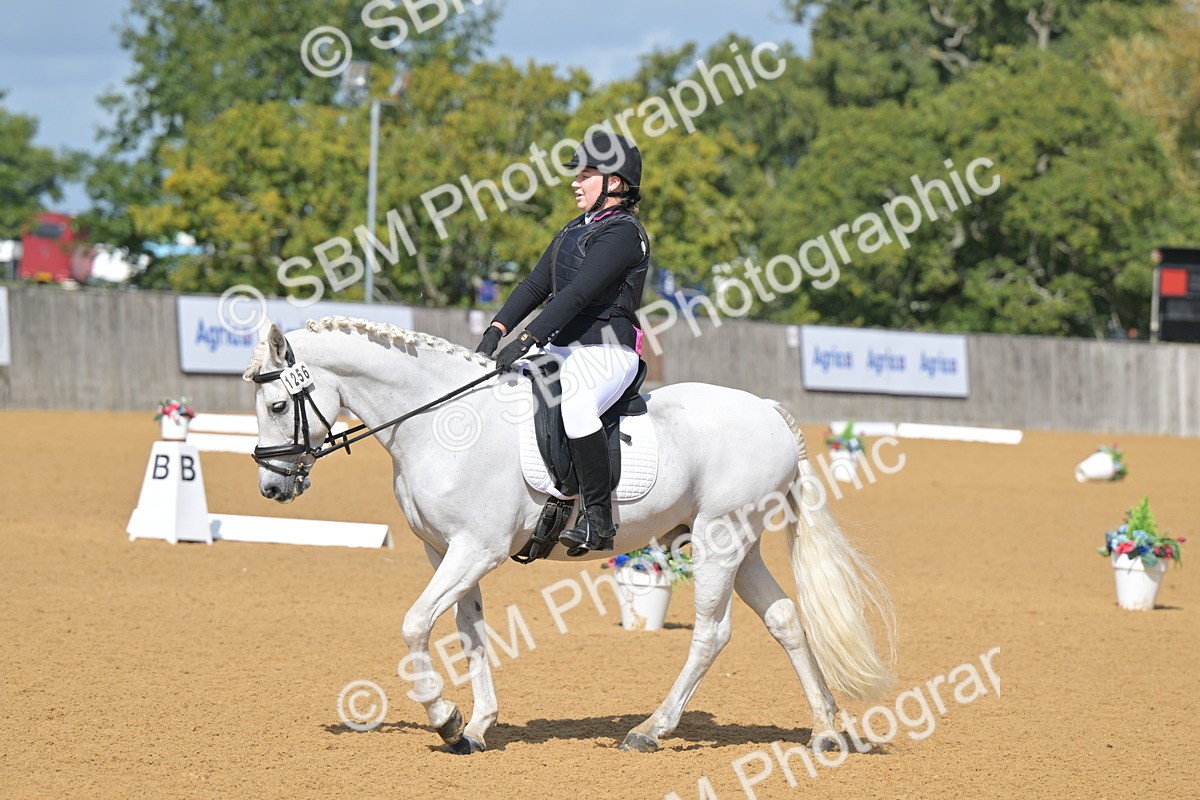 SBM_08085 - D8 - Small Tour Championship Prelim 1