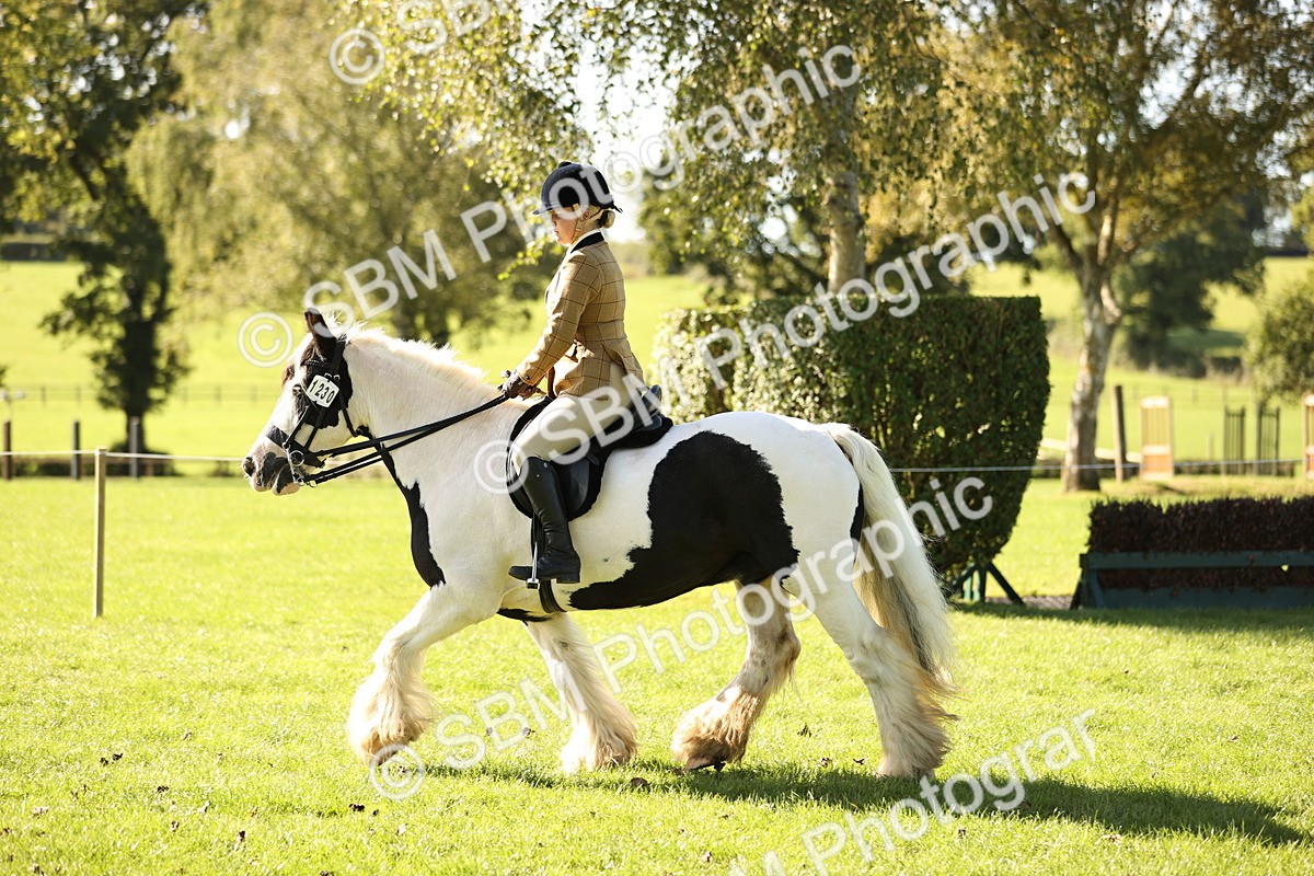 SBM_19102 - S3 - TSR Ridden Pony Showing