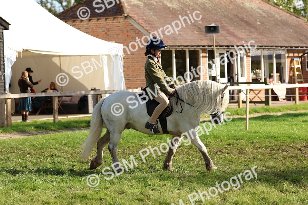 SBM_52354 - S13 - Pony Club Pony
