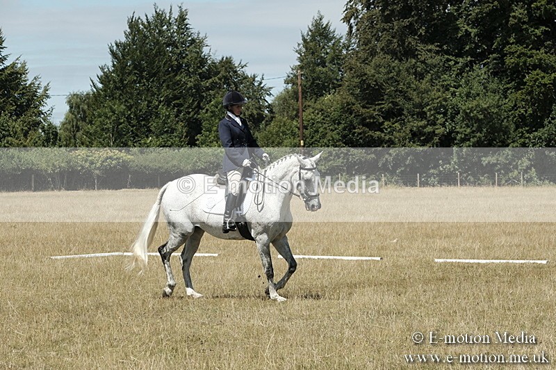 _PJP5901 - Dressage Classes BVRC Show 2018