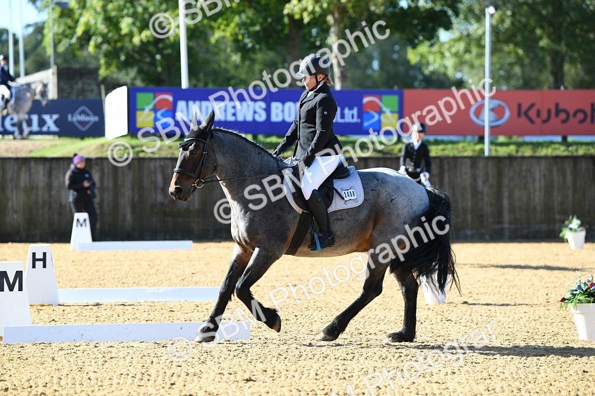 SBM_02331 - D7 Small Tour Championship Prelim 1