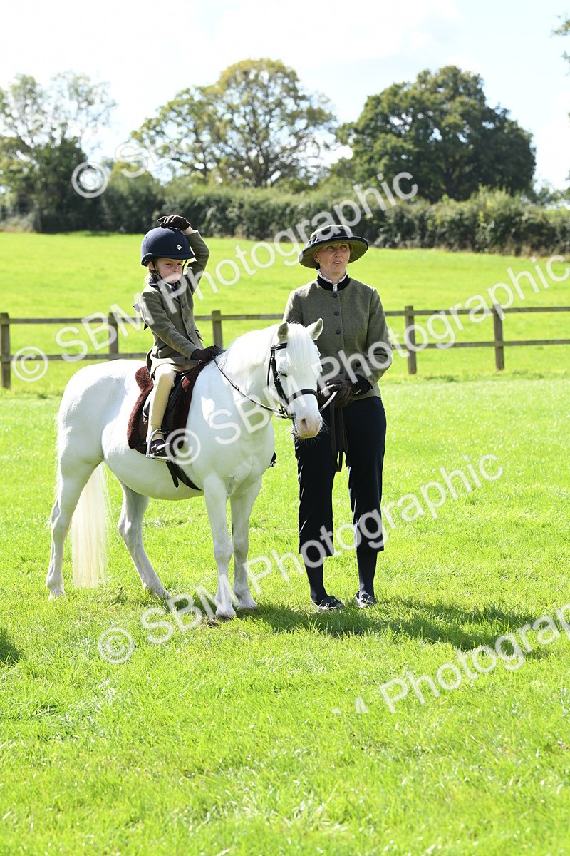 SBM_42604 - S20 - Lead Rein Mountain & Moorland Pony