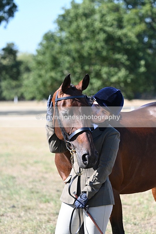 WJ7_1931 - Class 43 Best Six Legs (In hand)
