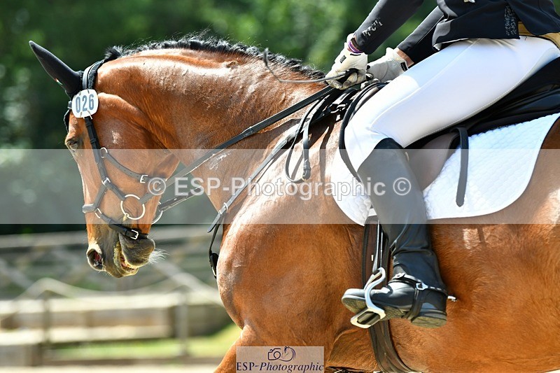 230623-132455-02377 - Cls 4 Novice 37Q 12.45 to End