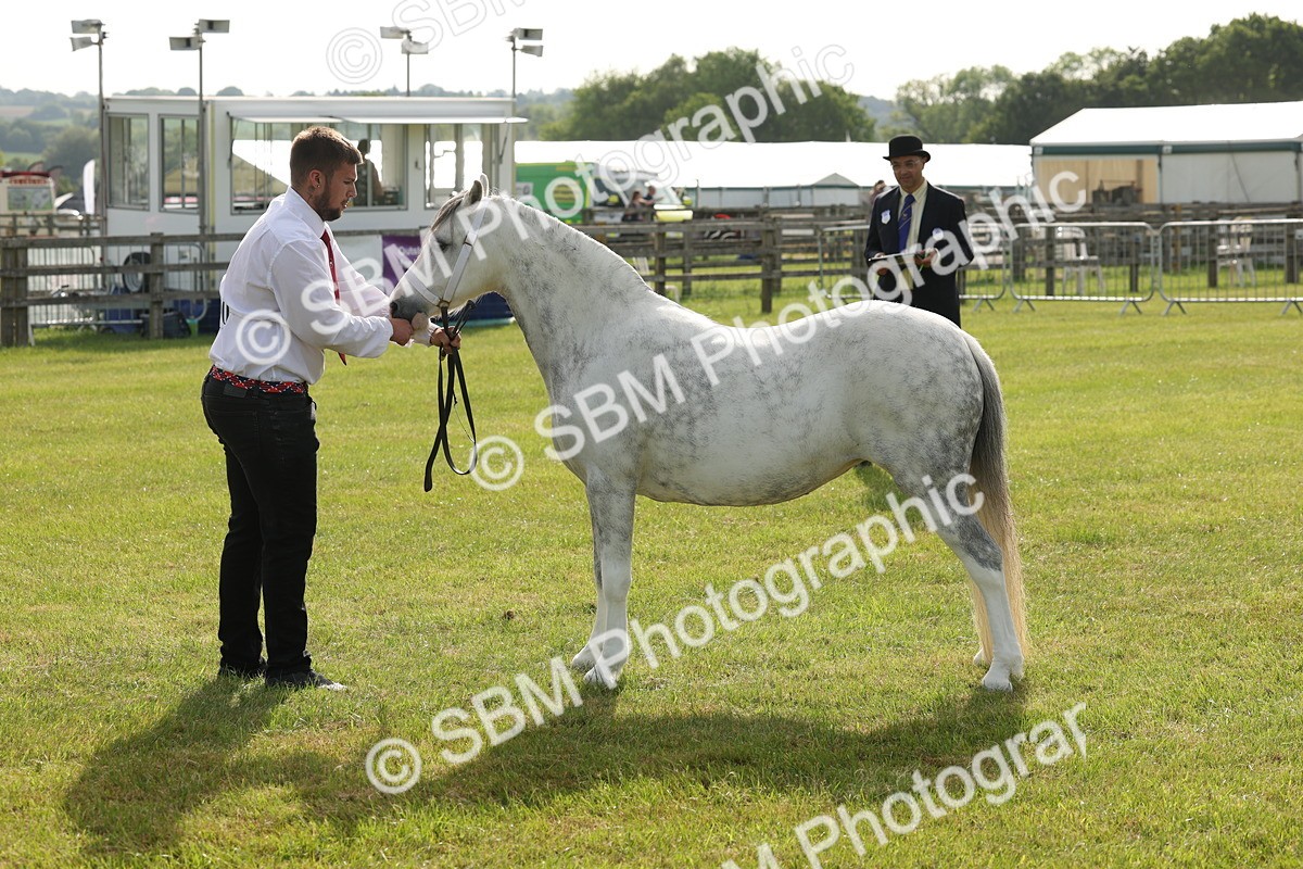 SBM_00542
