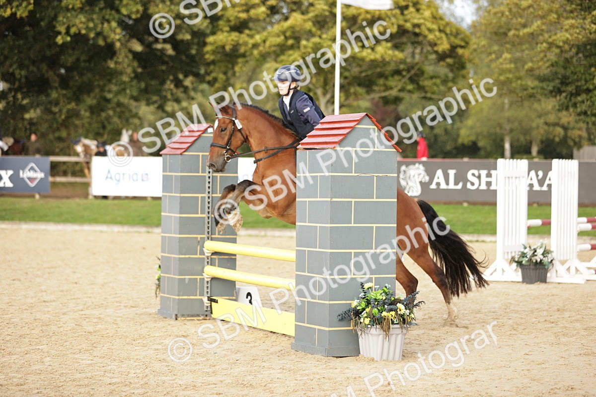 SBM_29893 - j52 - Open 80cm