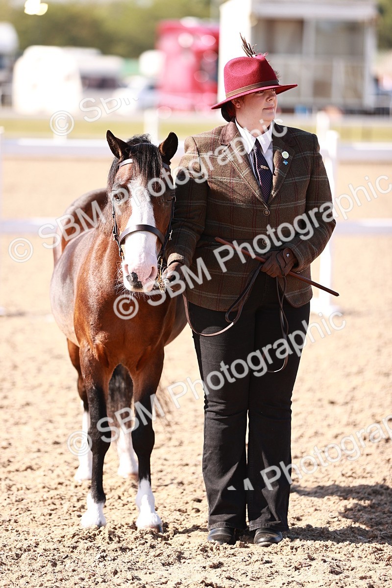 SBM_22716 - Class 704 - IH  Rescue
