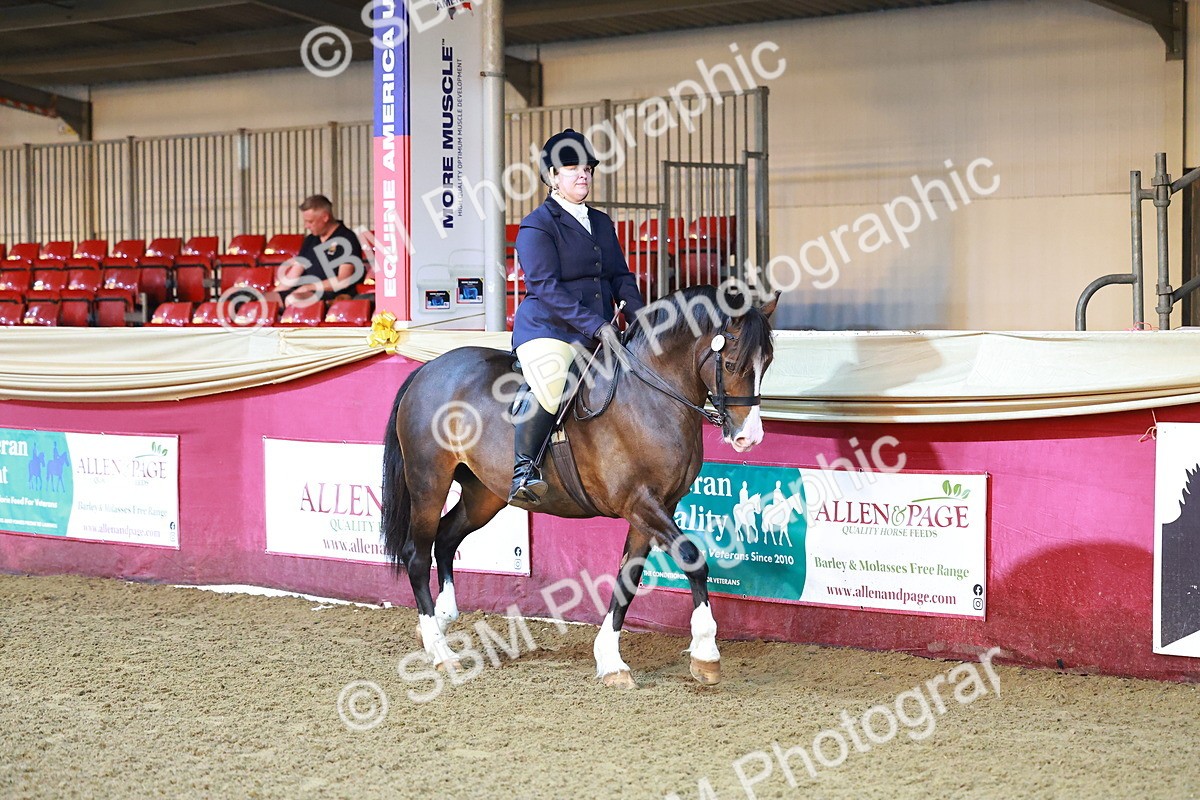 SBM_14666 - Class C - Novelty champ