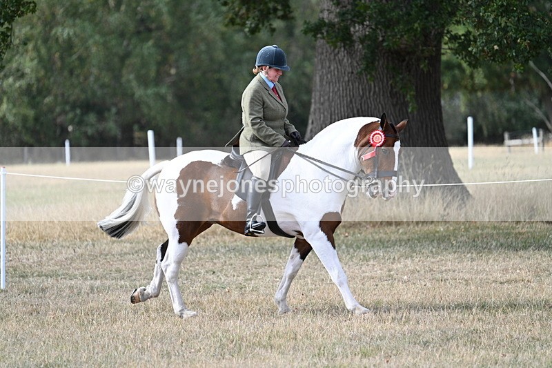 WJ7_7741 - Ridden Championship