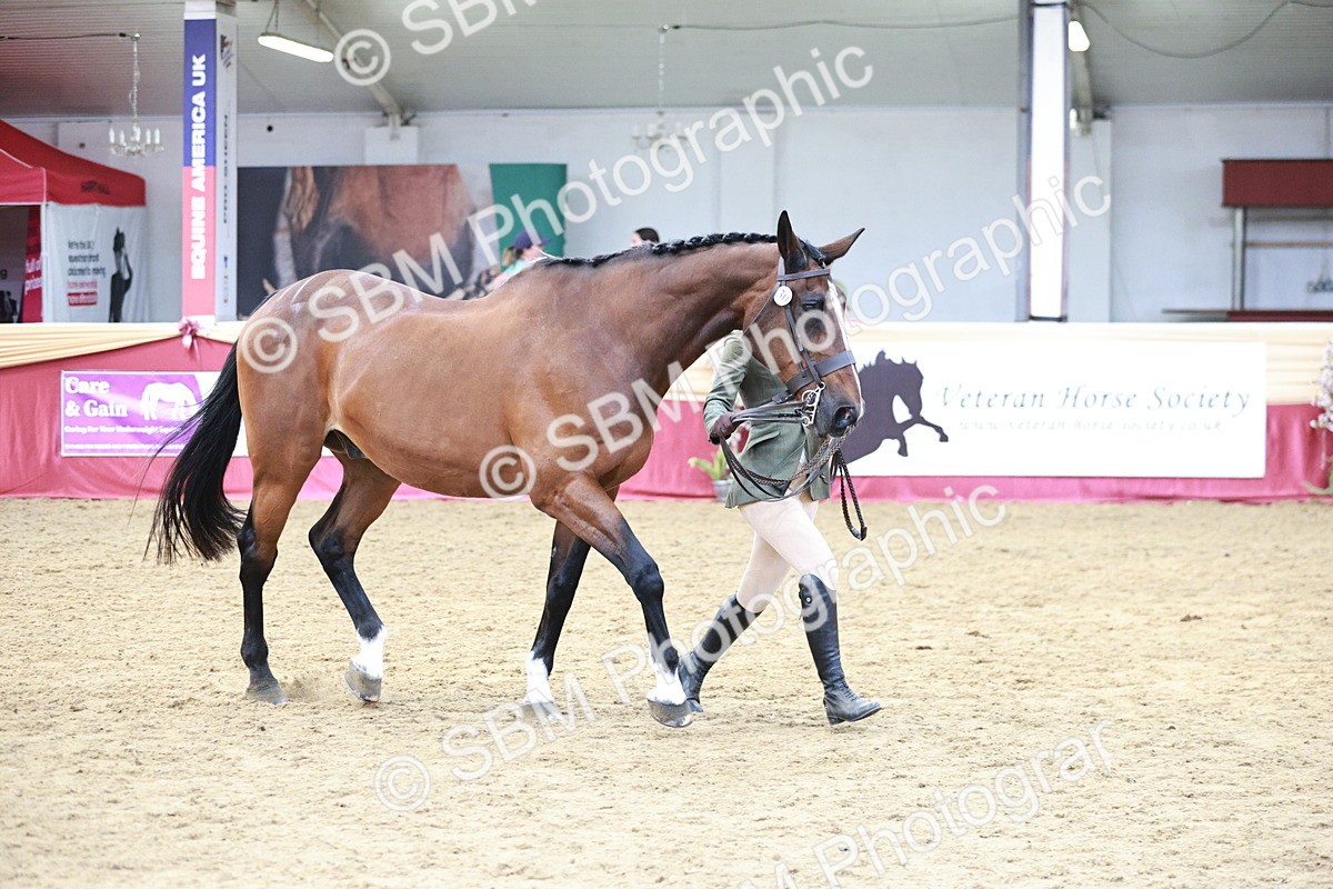 SBM_04829 - Class 7R - Regional IH Diamond