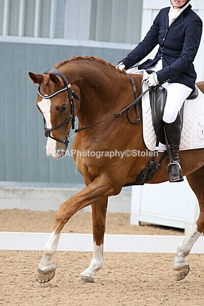 SIAL8440 - GDG Bogenraith Friday 26th Sept 2025