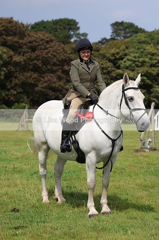 3E7A5920 - Class 26 and 27: 70cm Working Hunter