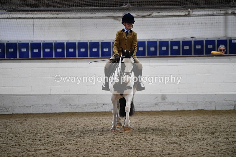 WJ5_7284 - Class 11 Ridden PC - RC Pony