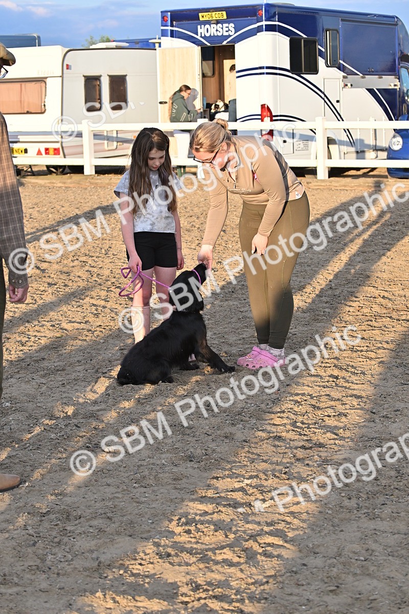SBM_09661 - Lorry Dogs