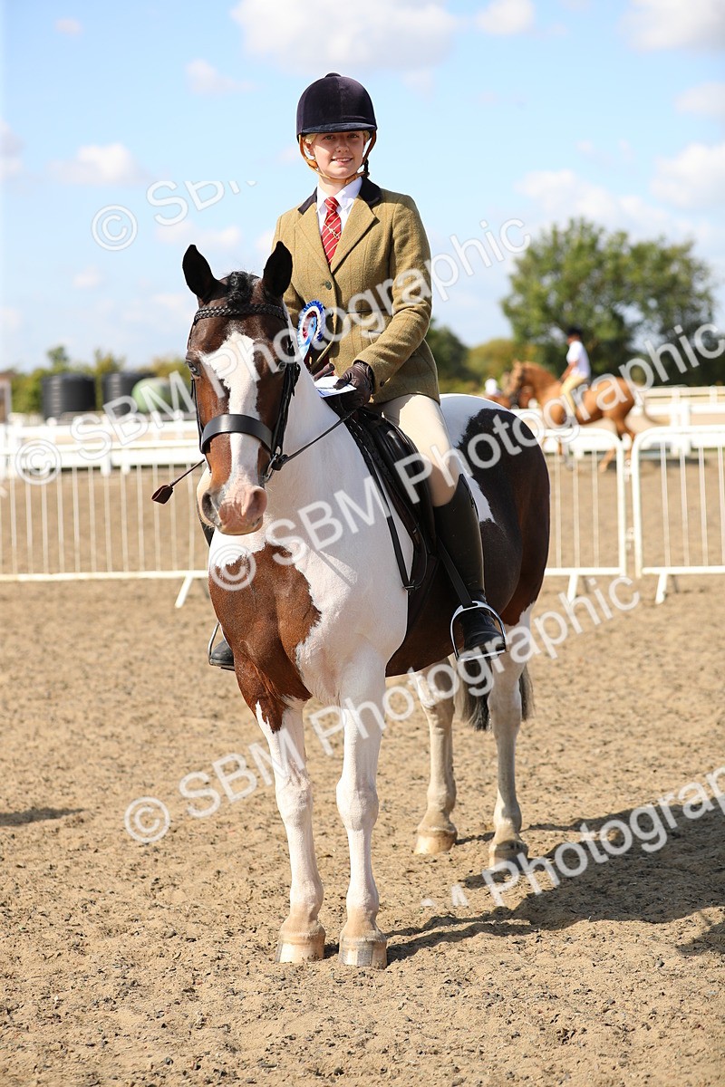 SBM_03272 - Class 44 Riding Club Horse/ Pony
