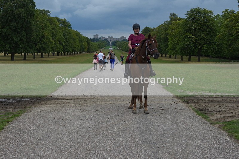 TT3_9373 - Time at Crossing 11:28 to 13:16