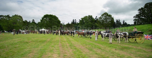 awards -17 - Attelage 24 Day 2 Awards